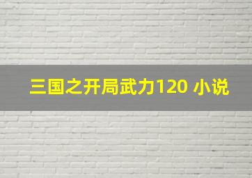 三国之开局武力120 小说